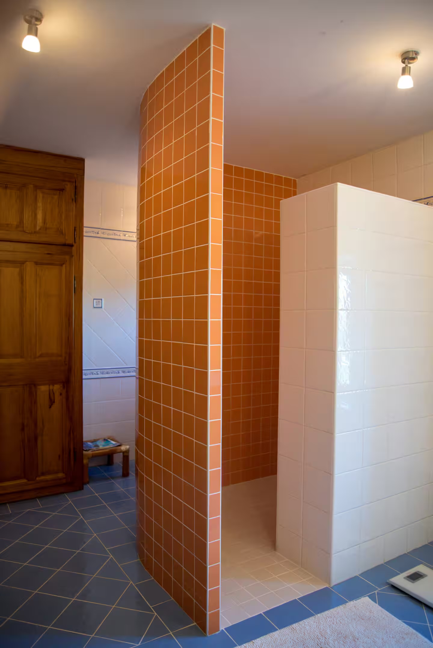 The walk-in shower of the bathroom